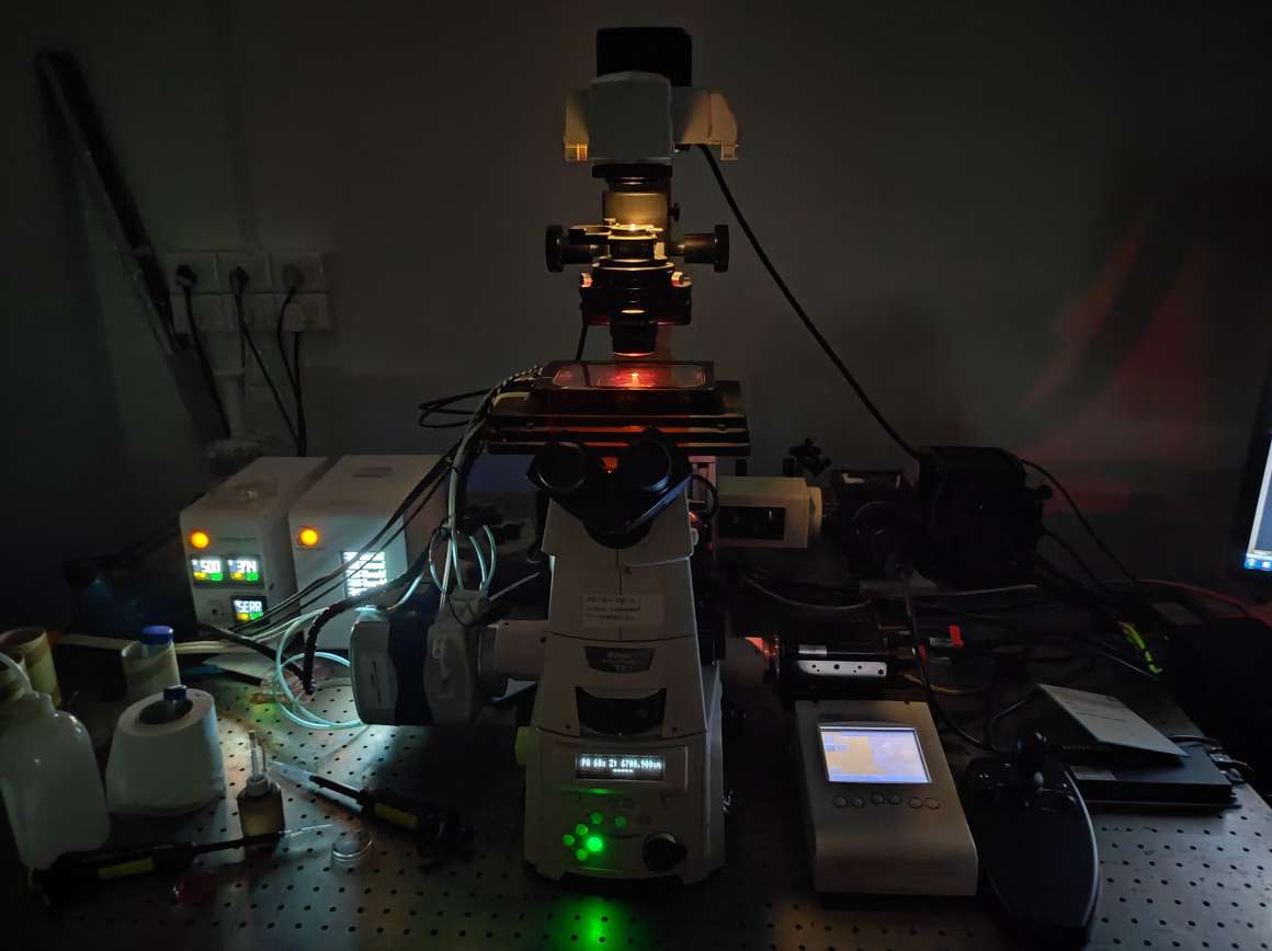 Optical setup in the lab