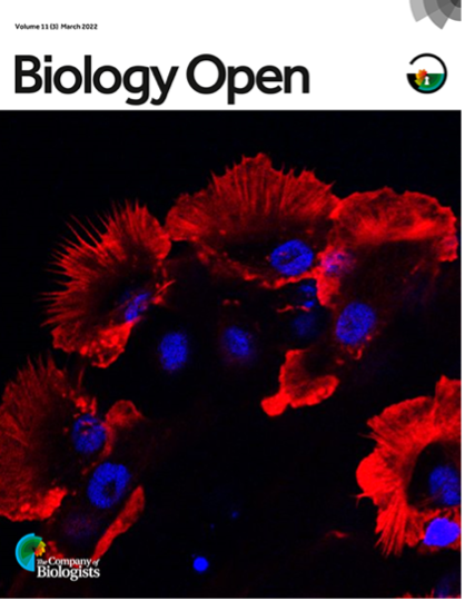Biology Open cover featuring the lab's work