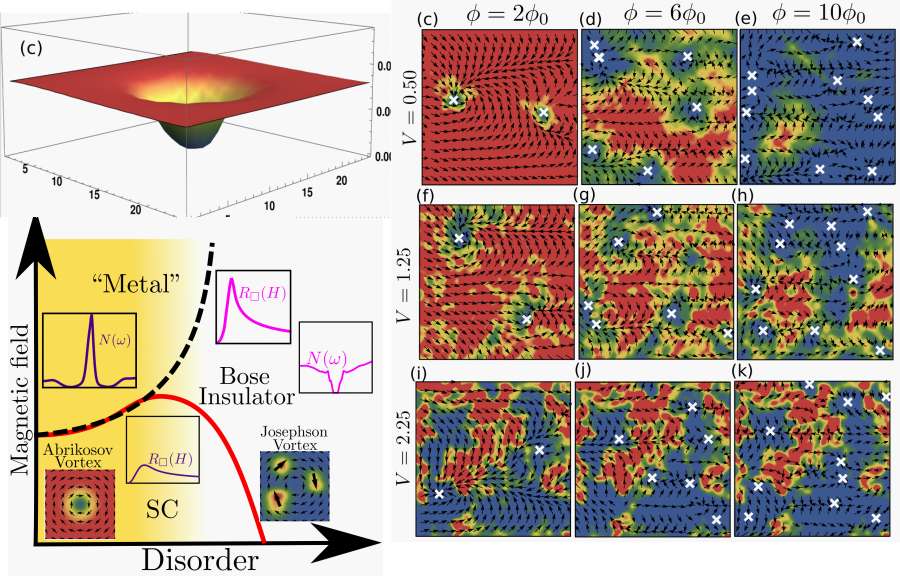 Superconducting Vortices