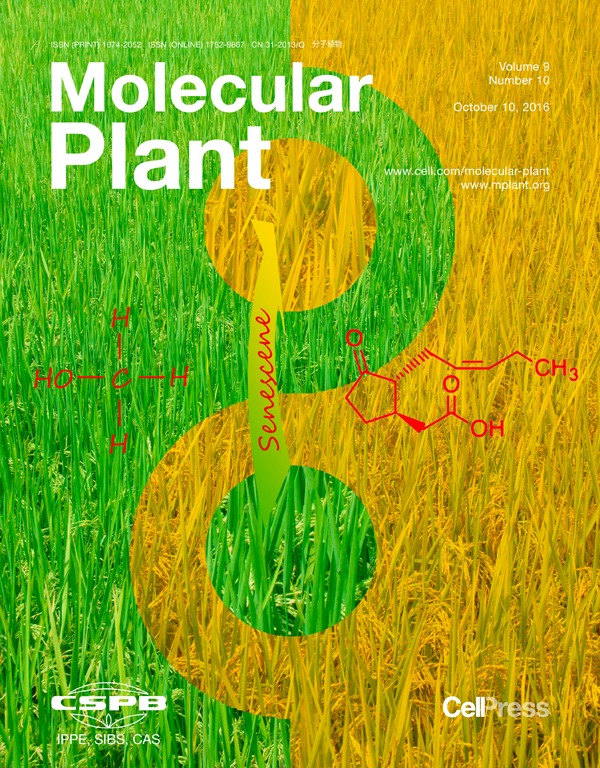 Plant Microscopy