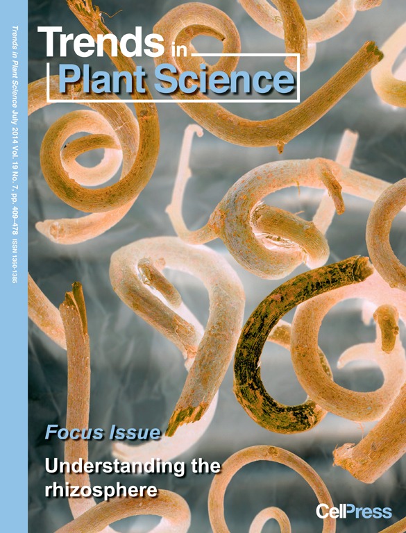 Plant Microscopy