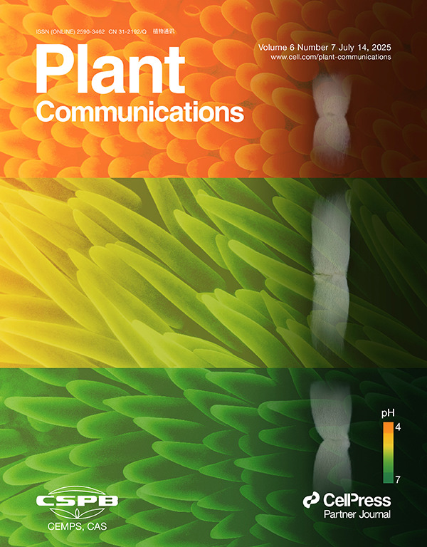 Plant Microscopy
