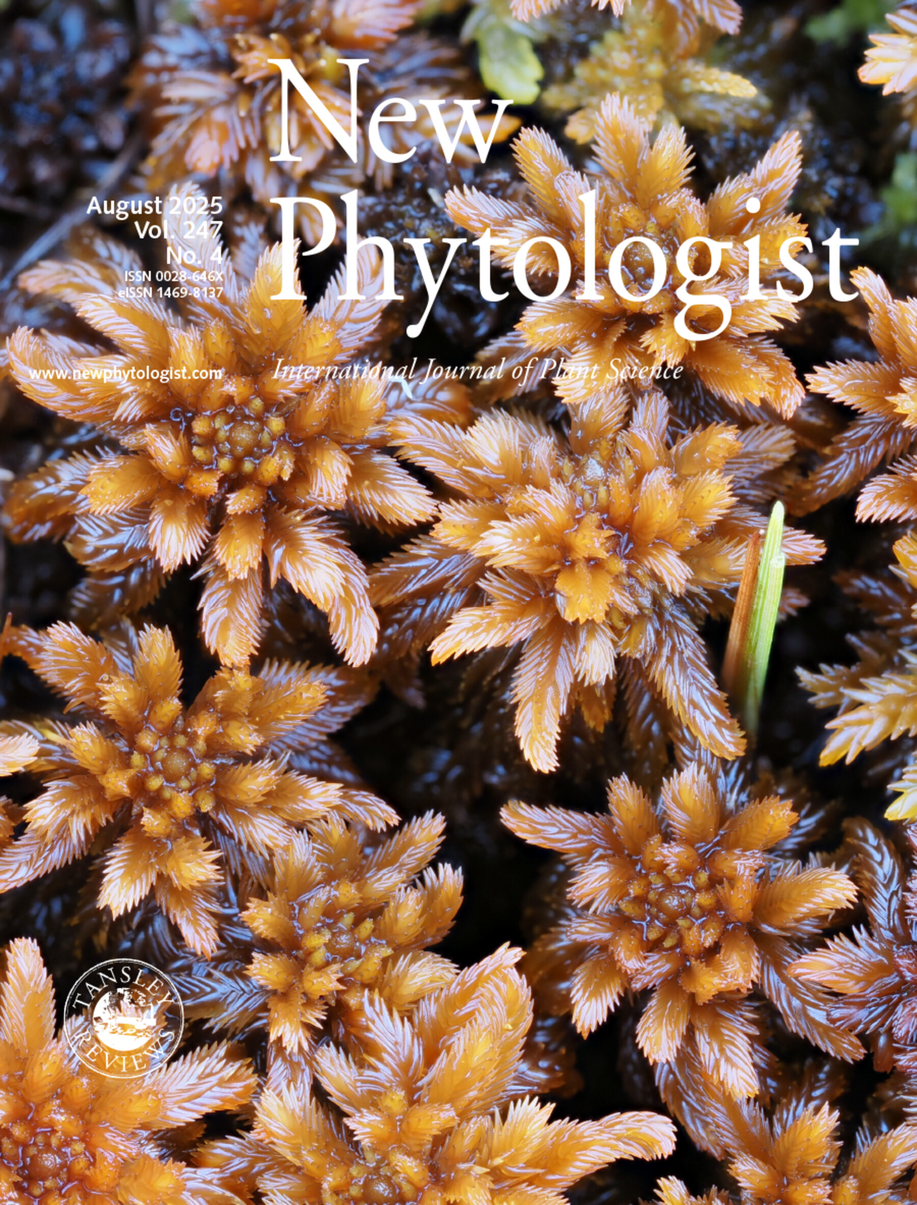 Plant Microscopy