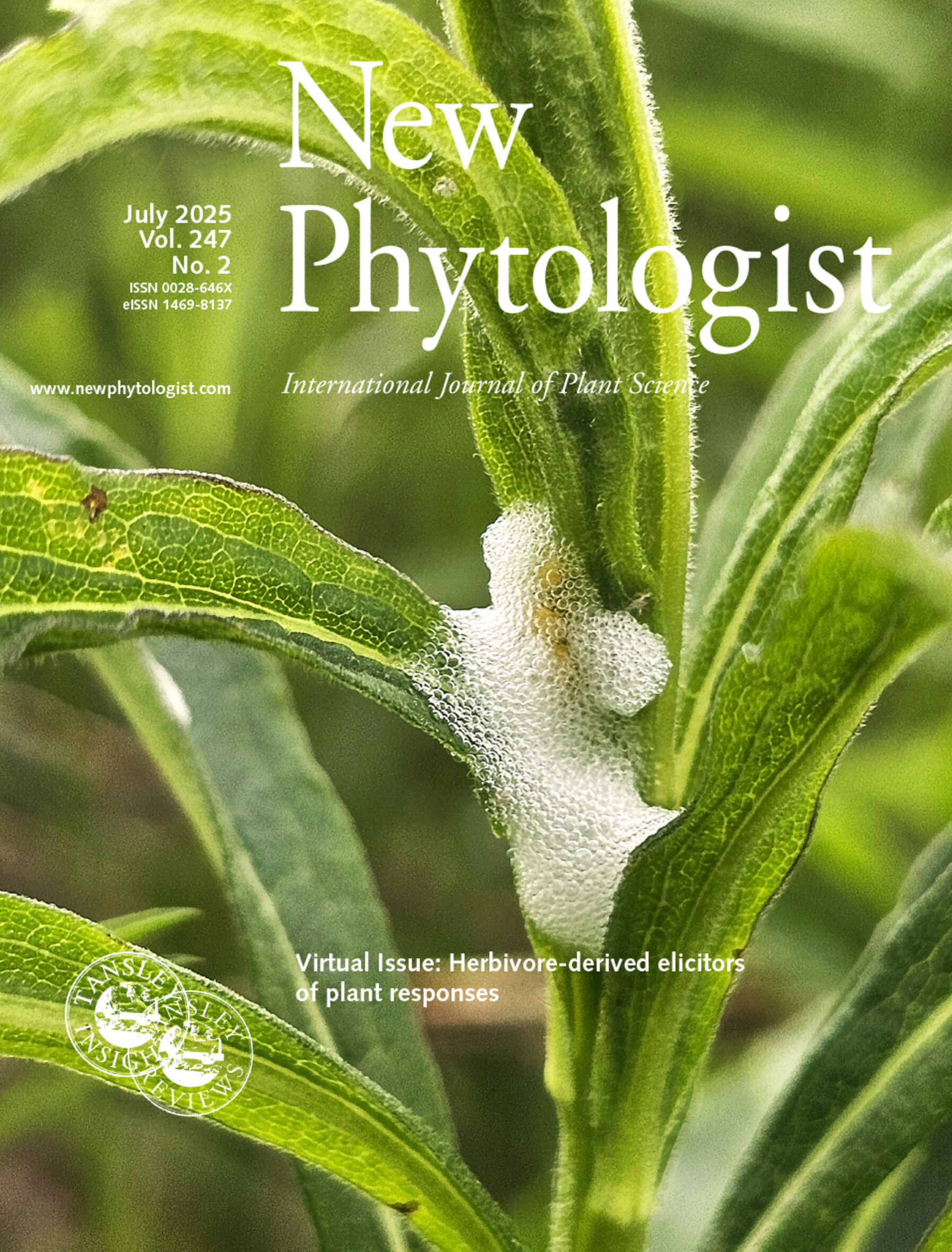 Plant Microscopy