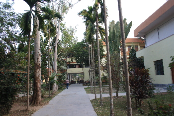 apc-roy-hall2_small.jpg