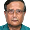 Prof. Somnath Dasgupta