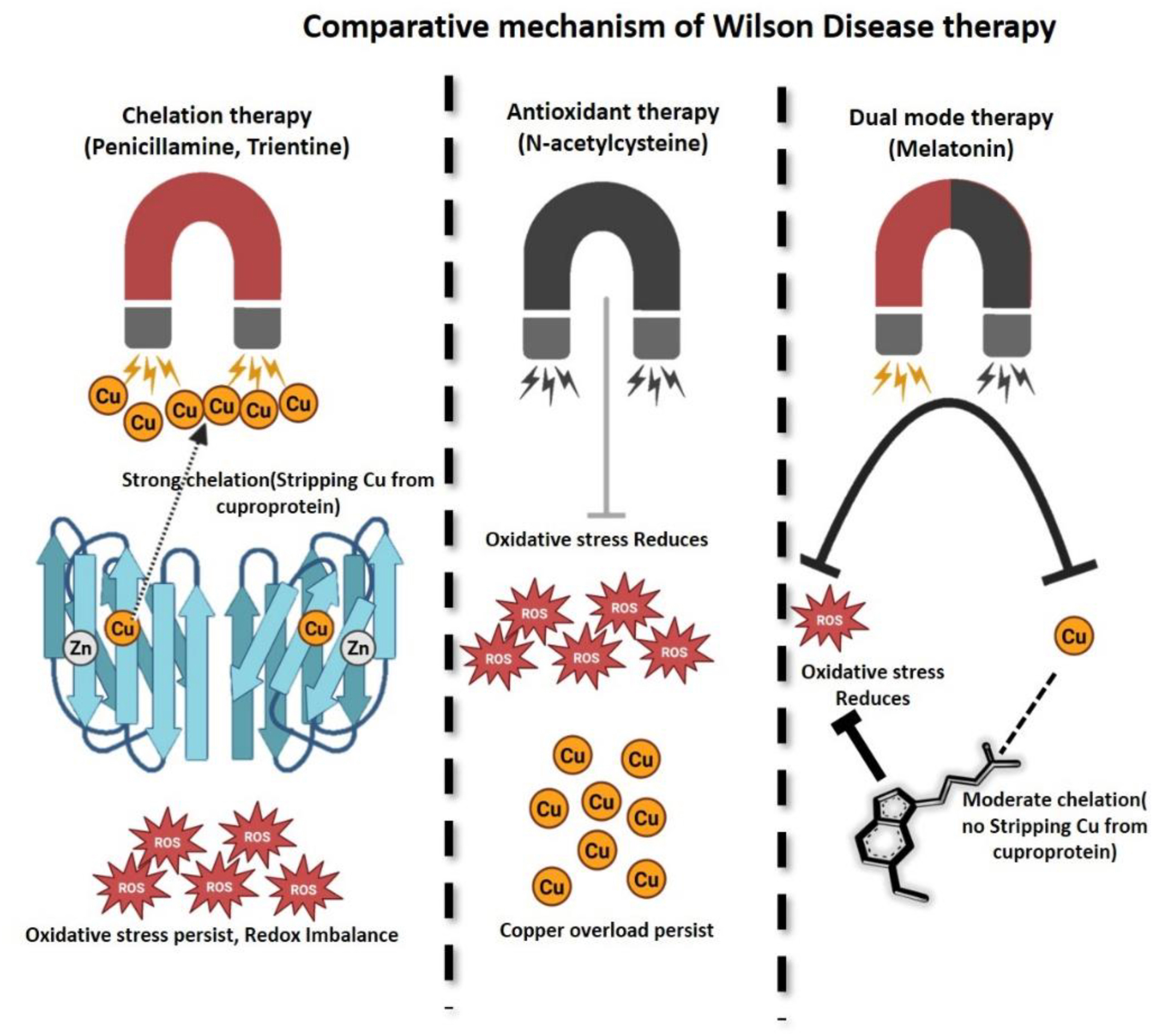 Graphical Abstract