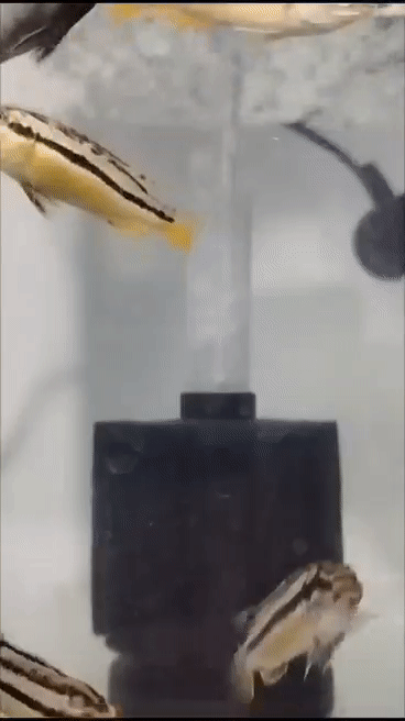 Time-lapse movie from the lab
