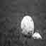 image05