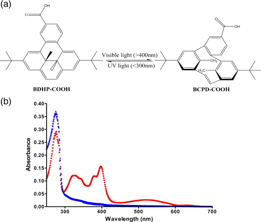  JMB Graphical Abstract