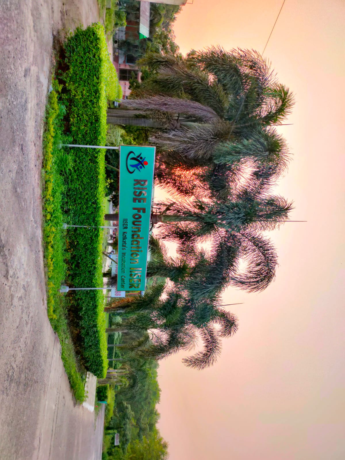 Placement Cell IISER Kolkata