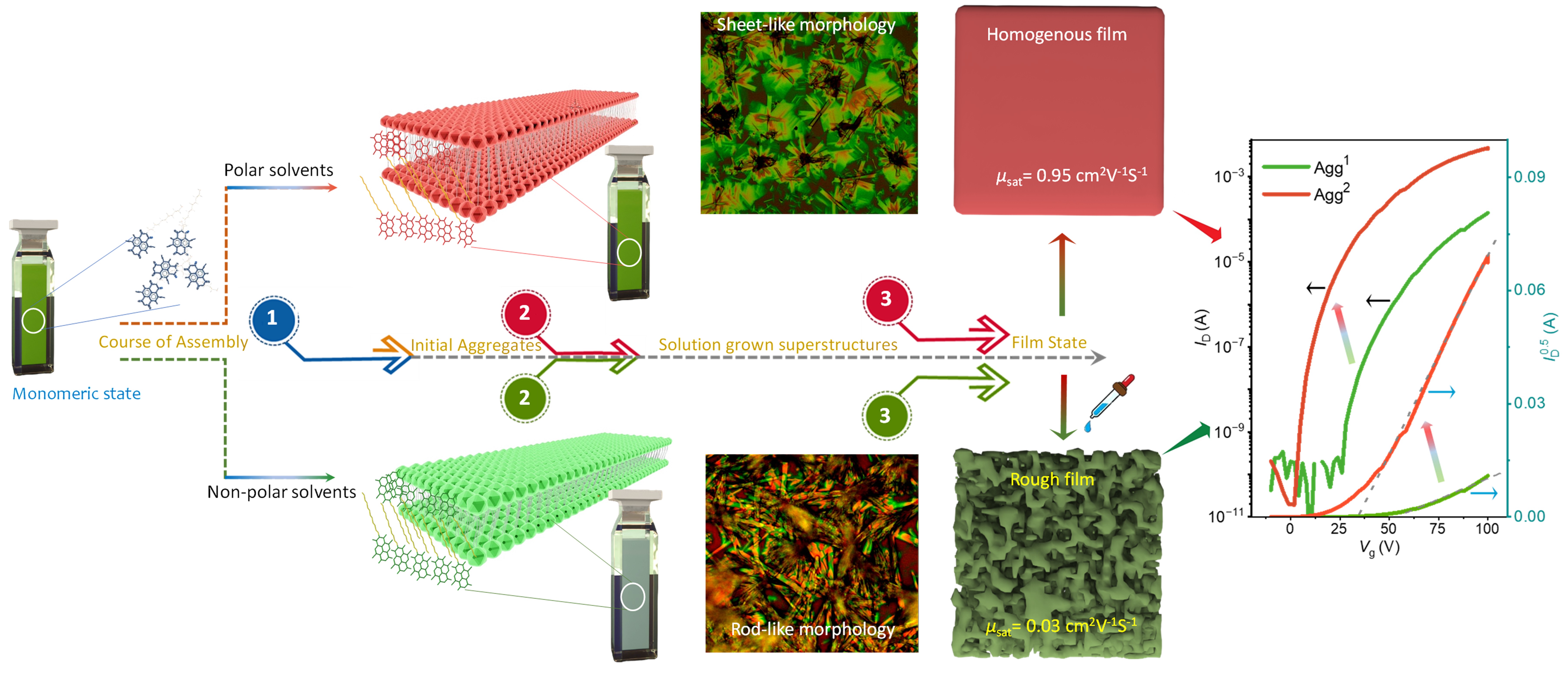 Molecular Organic Semiconductors